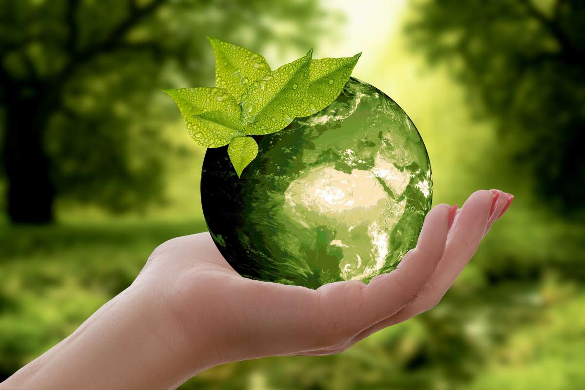 Eco-friendly lifestyle là gì? Eco-Friendly là gì?